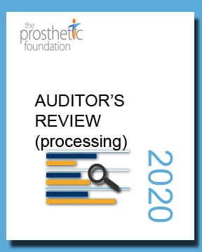 Auditor's Review 2020