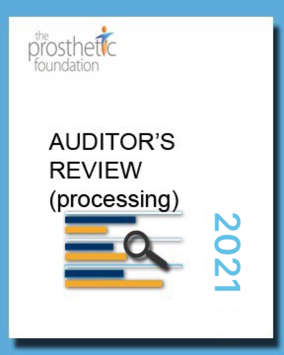 2021 Auditor's Review